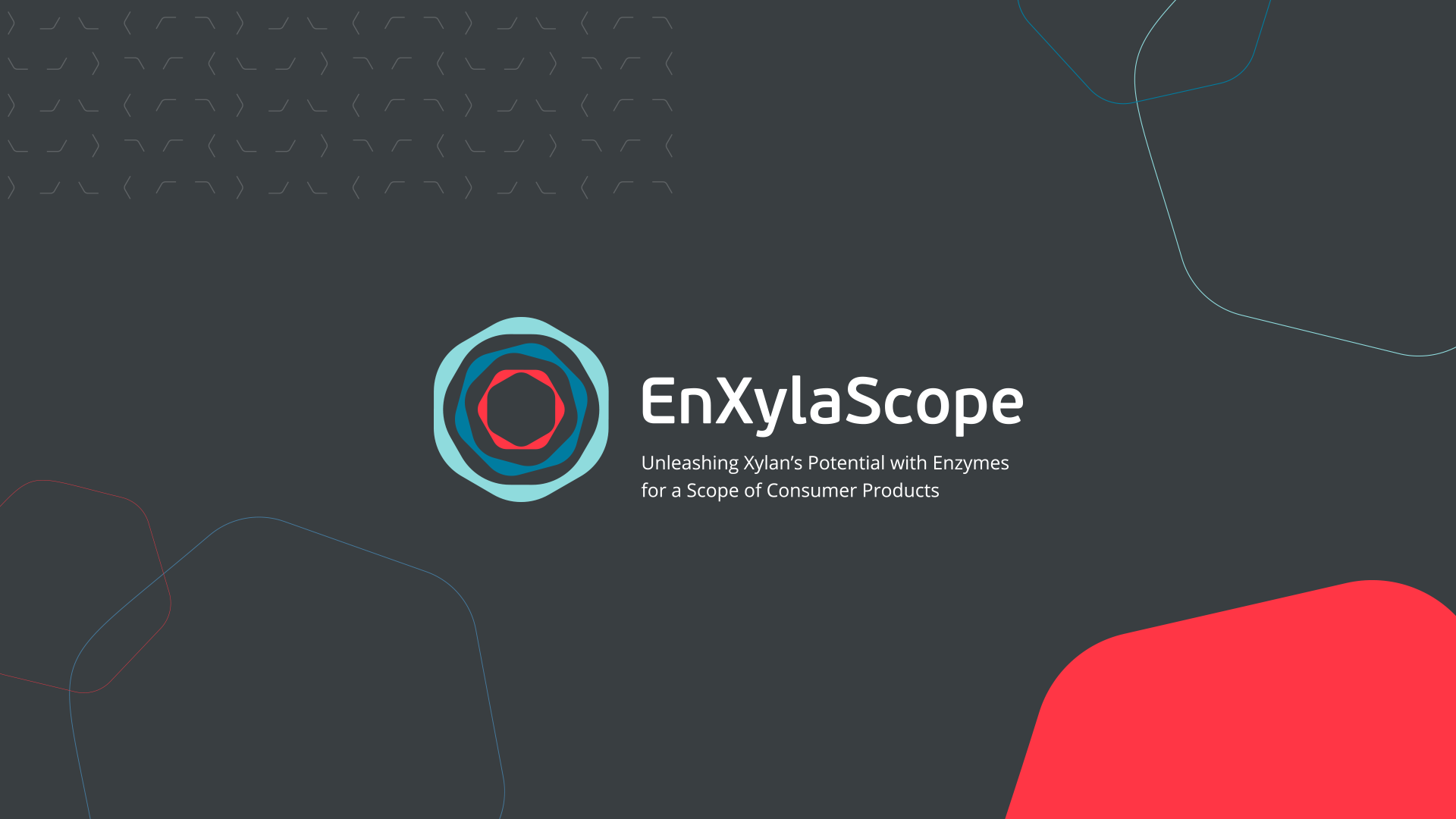 Identidade Visual - EnXylaScope - LOBA.cx